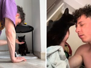 Shade e il suo gatto: un video racconta come ha salvato il micio da una vita di stenti