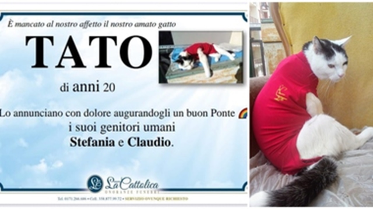 Manifesto funebre per il gatto