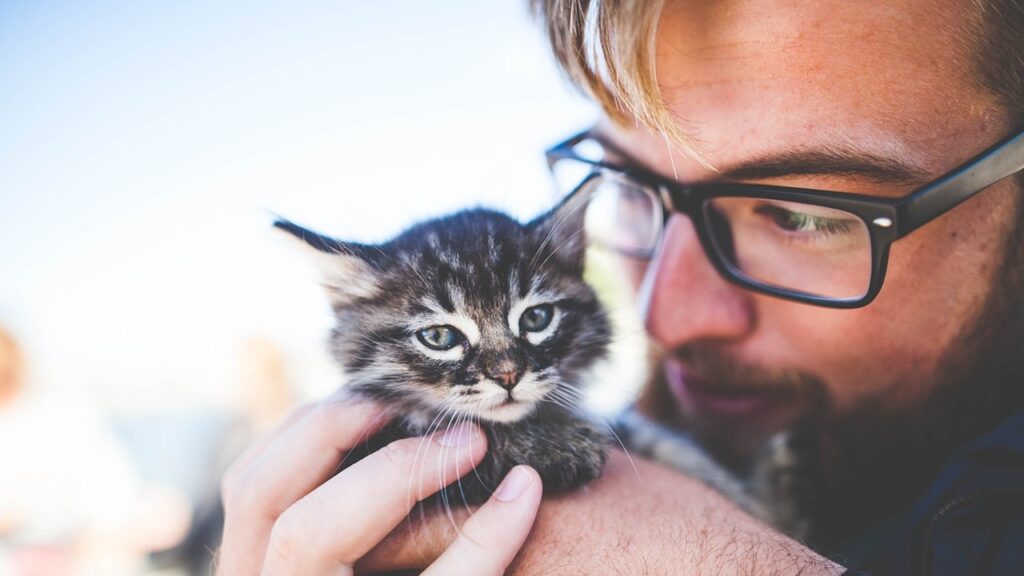 Gatto con l'uomo