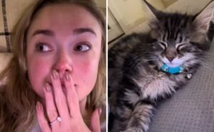 La donna pensava di odiare i gatti, finché non ne ha regalato uno alla sua bambina (VIDEO)