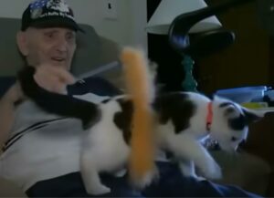 L’uomo di 84 anni si commuove quando racconta come il suo gatto gli ha letteralmente salvato la vita