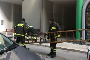 Gatto caduto in una grata recuperato dai Vigili del Fuoco