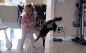 Questo vivace gatto tartarugato capisce come trasformare la sua sorellina umana in uno “strumento” per allenarsi (VIDEO)